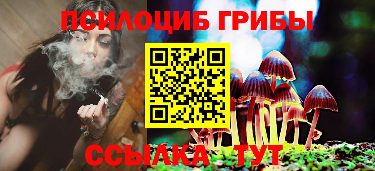 Галлюциногенные грибы Psilocybine cubensis Солнечногорск